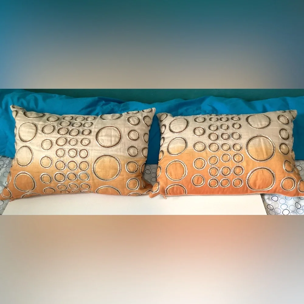 Crate & Barrel 2 decorative pillows feather down embroidered